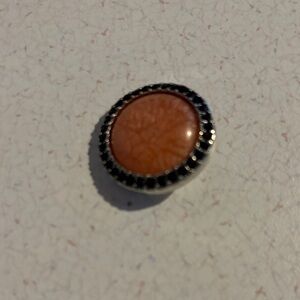 Elegant orange and black Snap charm